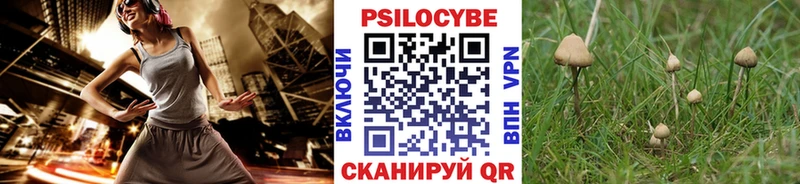 что такое Макаров Псилоцибиновые грибы MAGIC MUSHROOMS